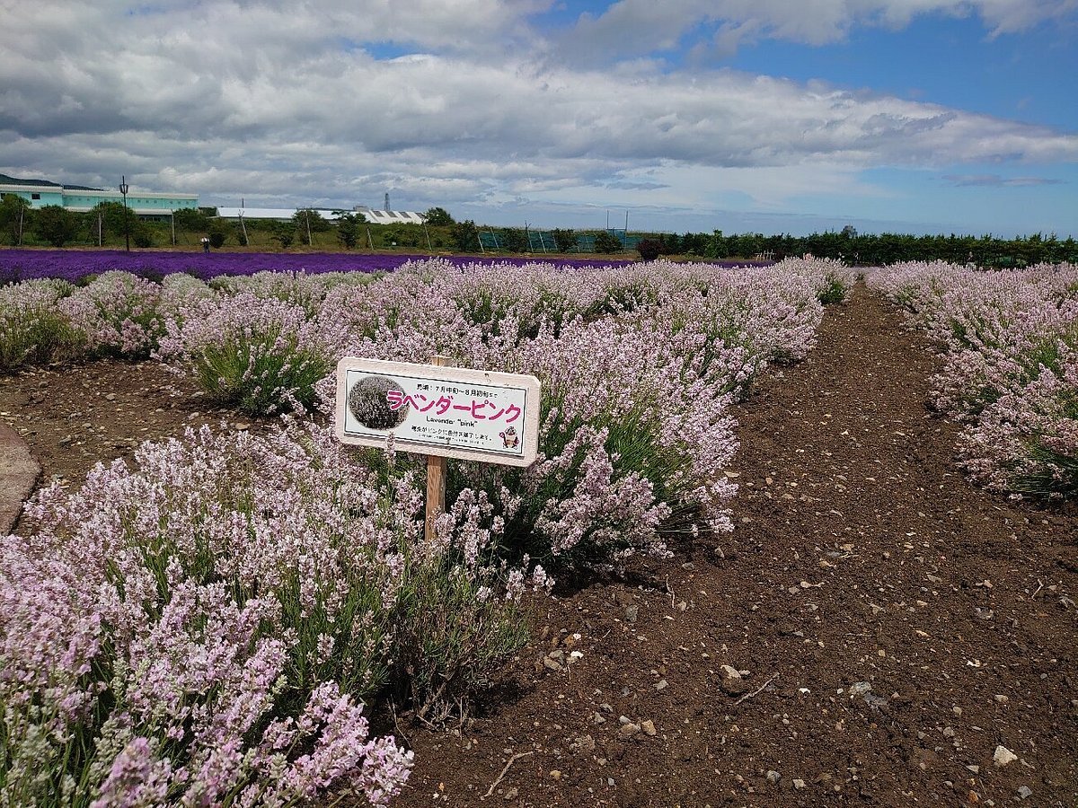🏞️ 도립 오호츠크 유빙공원 이미지 7